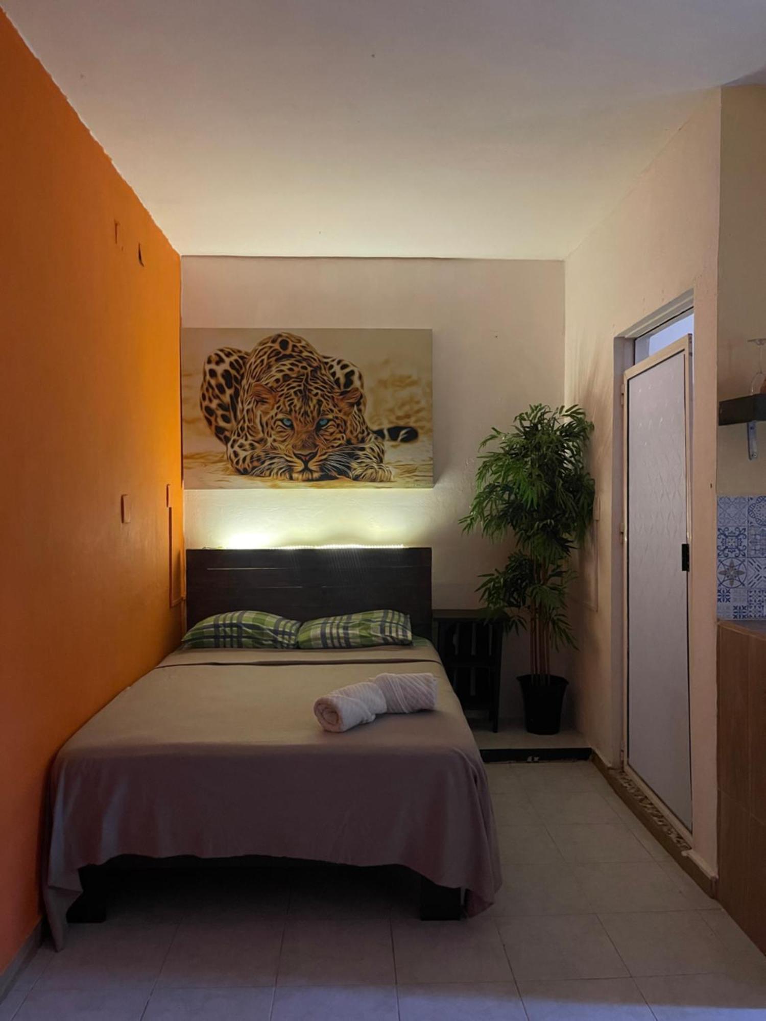 Casa Mar Apartment Playa del Carmen Bagian luar foto